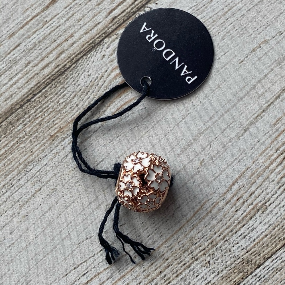 Pandora charm